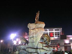 Wolfpack Football