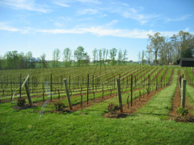Yadkin Valley Main Pic