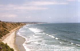 Swamis
